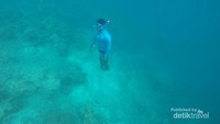 Ernes terlihat terbiasa melakukan free dive