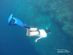 Wajib Coba Sekali Seumur Hidup: Free Dive di Pulau Kakaban