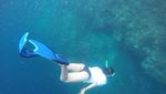 Wajib Coba Sekali Seumur Hidup: Free Dive di Pulau Kakaban