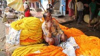 Marigold flowers