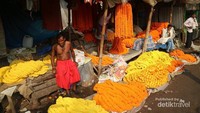 Marigold yang menjadi lekat dengan negara India