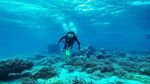 Wakatobi, Petualangan yang Tidak Terlupakan
