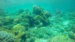 Wakatobi, Petualangan yang Tidak Terlupakan