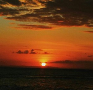 Wakatobi, Petualangan yang Tidak Terlupakan