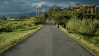 Jalan yang kami lalui ketika berangkat dari kota Wamena menuju perkampungan (foto:Keken/detikTravel)