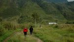 Wamena, Kota Cantik Berpagar Bukit