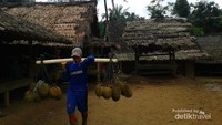 Musim Durian