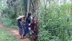 Wanita-Wanita Baduy yang Kuat