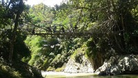 Jembatan Akar yang kami tuju. Saat itu, ada shooting film di area ini.