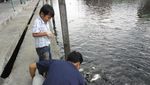 Wat Sai Floating Market, Belanja Unik di Pinggiran Bangkok