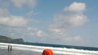 Memandang langit biru.jpg