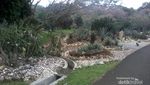 Weekend Ala Meksiko di Kebun Raya Bogor