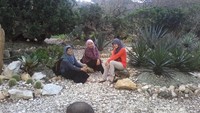 Berpose dengan Ball Cactus, Lizard Tail dan Prickly Pears
