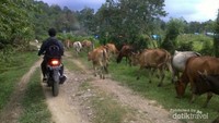 Rute perjalanan yang kami lewati