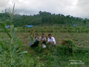 Weekend Asyik! Wisata Agro di Beuracan, Aceh