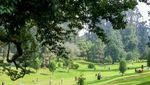 Weekend, Asyiknya Liburan ke Kebun Raya Cibodas