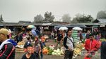 Weekend, Asyiknya Liburan ke Kebun Raya Cibodas