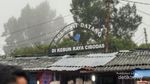 Weekend, Asyiknya Liburan ke Kebun Raya Cibodas