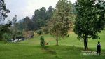 Weekend, Asyiknya Liburan ke Kebun Raya Cibodas