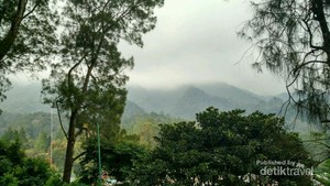 Weekend, Asyiknya Liburan ke Kebun Raya Cibodas