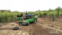 Sebuah mobil pelancong di antara perkebunan