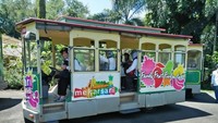 Mobil wisata untuk pengunjung berkeliling