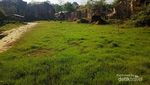 Weekend Ini, Coba Telusuri Sungai di Kandang Godzila