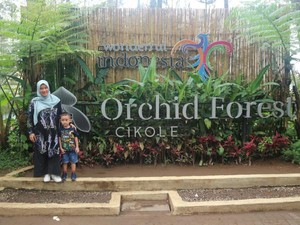 Weekend Ini, Mampir ke Hutan Paling Instagramable di Lembang