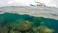 Menyelam dan snorkeling adalah hal wajib di Karimun Jawa