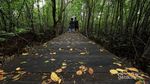 Weekend ke Karimunjawa, Asyiknya Ngapain Aja?