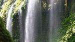 Weekend Segar di Air Terjun Madakaripura, Probolinggo