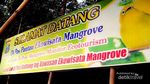Weekend Segar di Surabaya, Ayo ke Hutan Mangrove Wonorejo