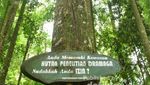 Weekend Segar Jalan-jalan ke Situ Gede Bogor