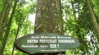 Jangan lupa minta izin ketika memasuki hutan