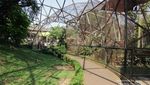 Weekend Seru di Taman Burung TMII