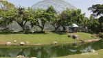 Weekend Seru di Taman Burung TMII