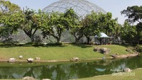 Taman Burung di Taman Mini Indonesia Indah