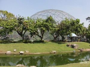 Weekend Seru di Taman Burung TMII