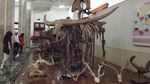Weekend Seru ke Museum Geologi Bandung