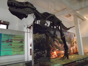 Weekend Seru ke Museum Geologi Bandung