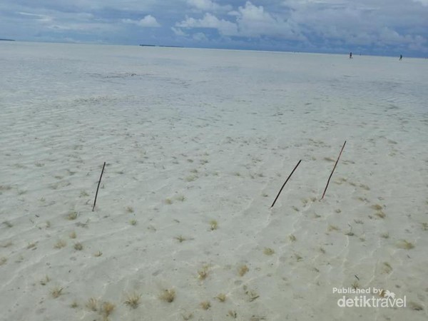 Wilayah Pantura Raja Ampat Ini Berbatas Langsung dengan Palau