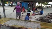 Cara pengeringan cacing laut atau insonem
