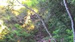 Wisata Air Hingga Adrenalin di Kedung Pedut, Kulon Progo