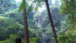 Wisata Air Terjun di Curug 7 Cilember, Bogor