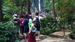 Wisata Air Terjun di Curug 7 Cilember, Bogor