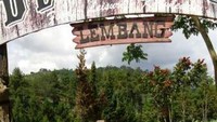 Buat anak-anak pakai kuda poni