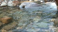 Air sungai yang jernih.