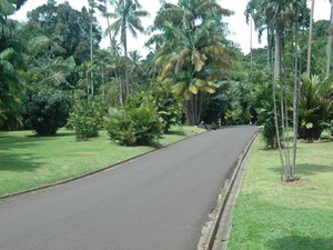Wisata Alam, Religi, dan Kuliner, Semua Ada di Bogor