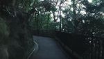 Wisata Anti Mainstream di Hong Kong: Trekking di The Peak