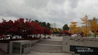 Suasana musim gugur nan romantis di pelataran kampus Korea University